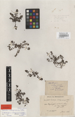 LE 00016301