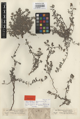 LE 00016307
