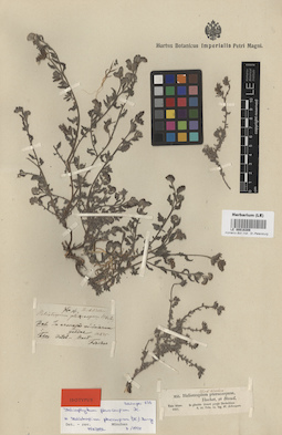LE 00016308