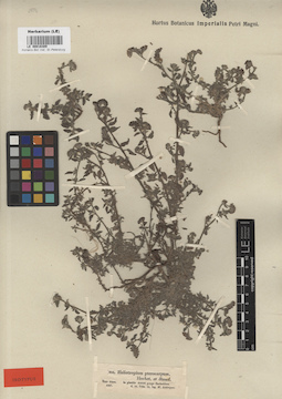 LE 00016309