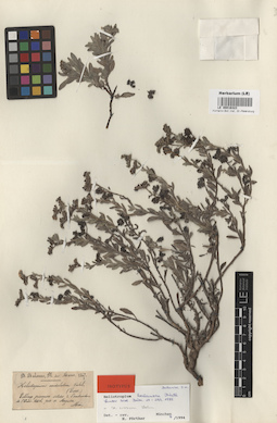 LE 00016323