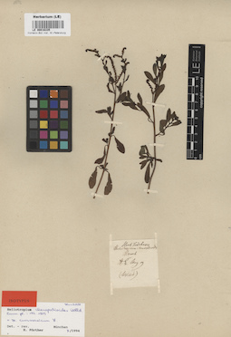 LE 00016335