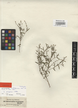 LE 00016346