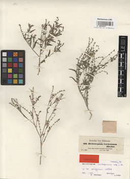 LE 00016347