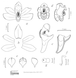 LE 01089066