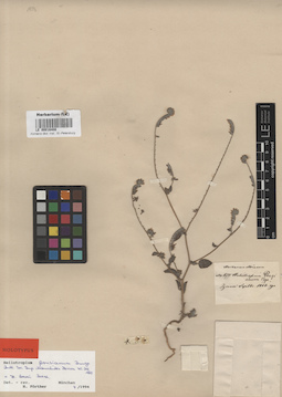 LE 00016408
