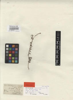 LE 00016413
