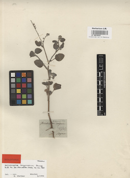 LE 00016422