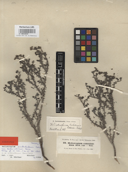 LE 00016434
