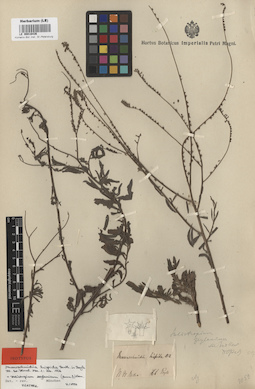 LE 00016436