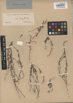 LE 00016470