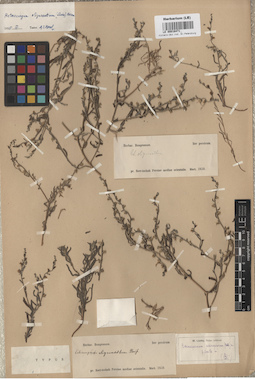 LE 00016471