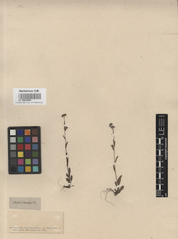 LE 00016483