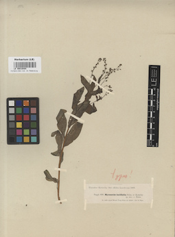 LE 00016484