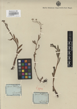 LE 00016485