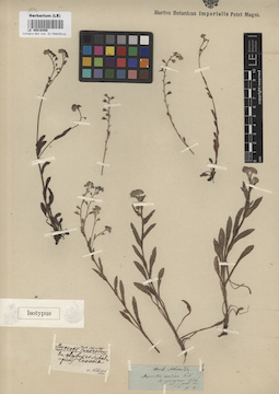 LE 00016486