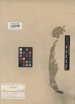 LE 00016497