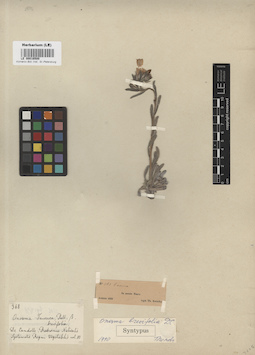 LE 00016500