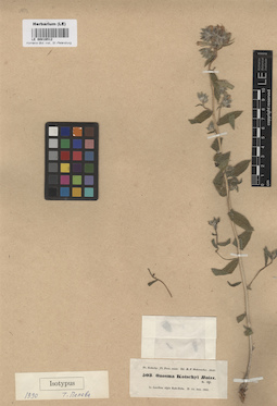 LE 00016512