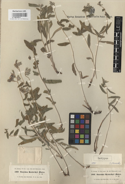 LE 00016514
