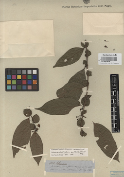 LE 00016834