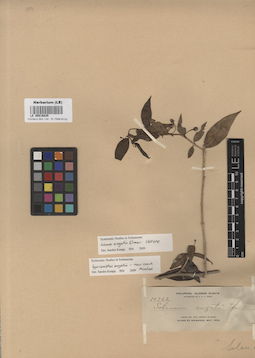 LE 00016835