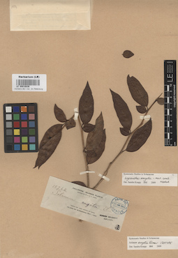 LE 00016836