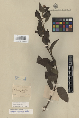 LE 00016887