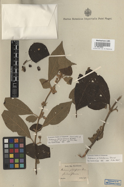 LE 00016894