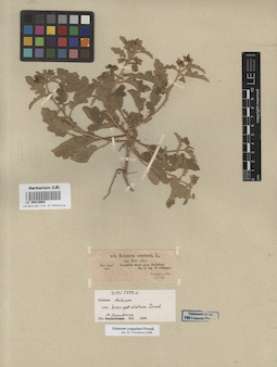 LE 00016902