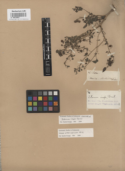 LE 00016953