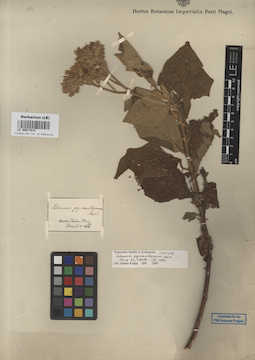LE 00017014