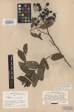LE 00017023