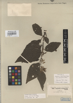 LE 00017041