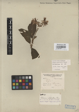 LE 00017044