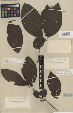 LE 00017045