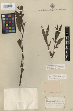 LE 00017068