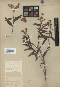 LE 00017087