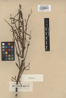 LE 00017105