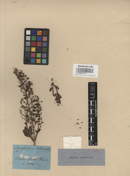 LE 00017114