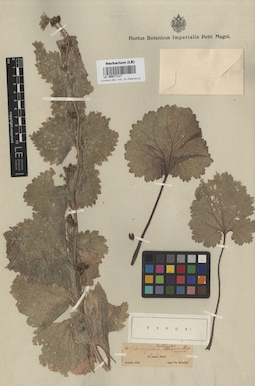 LE 00017117
