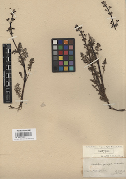LE 00017123