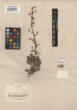 LE 00017126