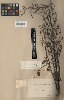 LE 00017128