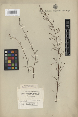 LE 00017138
