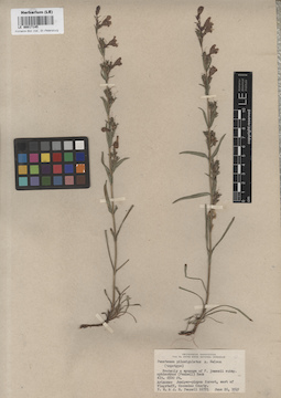 LE 00017145