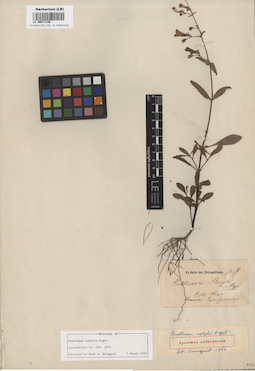 LE 00017146