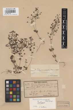 LE 00017167