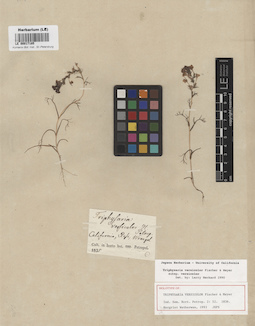 LE 00017185