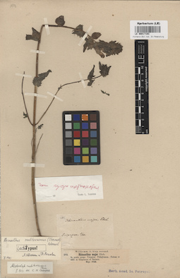 LE 00017193